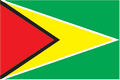 Guyana flag