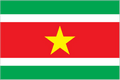 Suriname flag